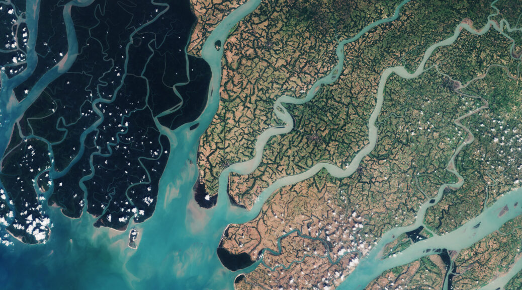 "Sundarbans web" by European Space Agency, CC-BY-NC-SA, https://flic.kr/p/JZnknQ